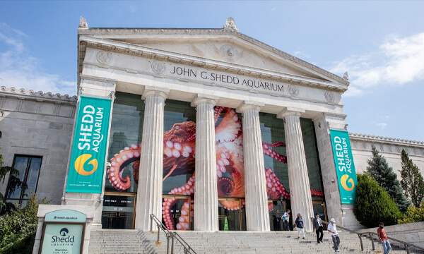 Shedd Aquarium