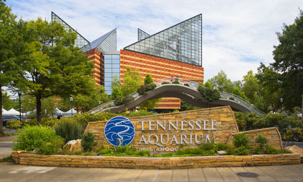 Tennessee Aquarium